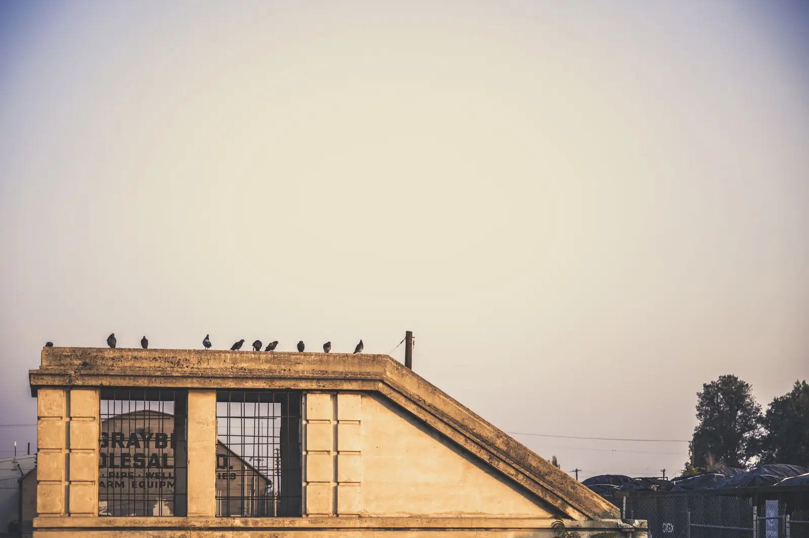 Pigeons posés sur la toiture en pierre d'un bâtiment ancien en ville.